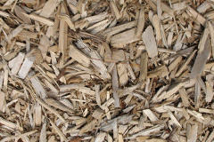 biomass boilers Cothelstone